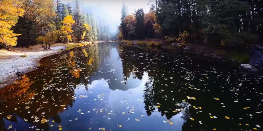 Biodico Issues Statement Regarding Signing of Landmark Climate Legislation in California